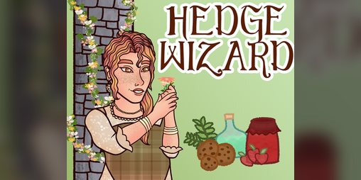 Cover image for Hedge Wizard