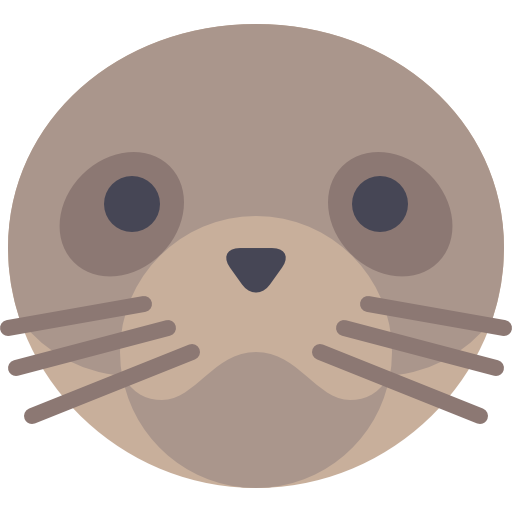 6 Hours at Seals 2