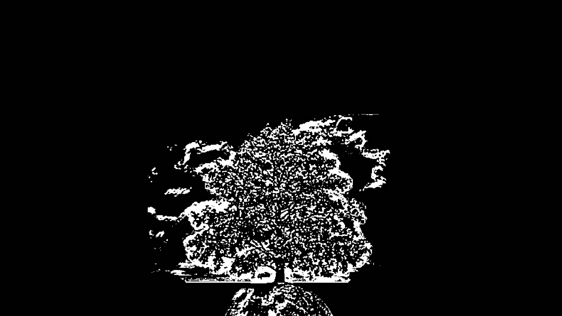 Cover image for Bleached Smog