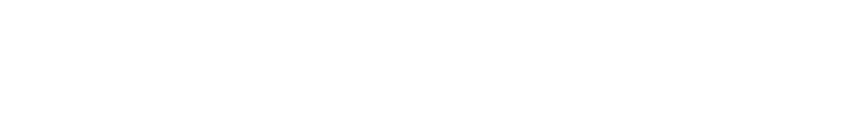 The Loop Labs™