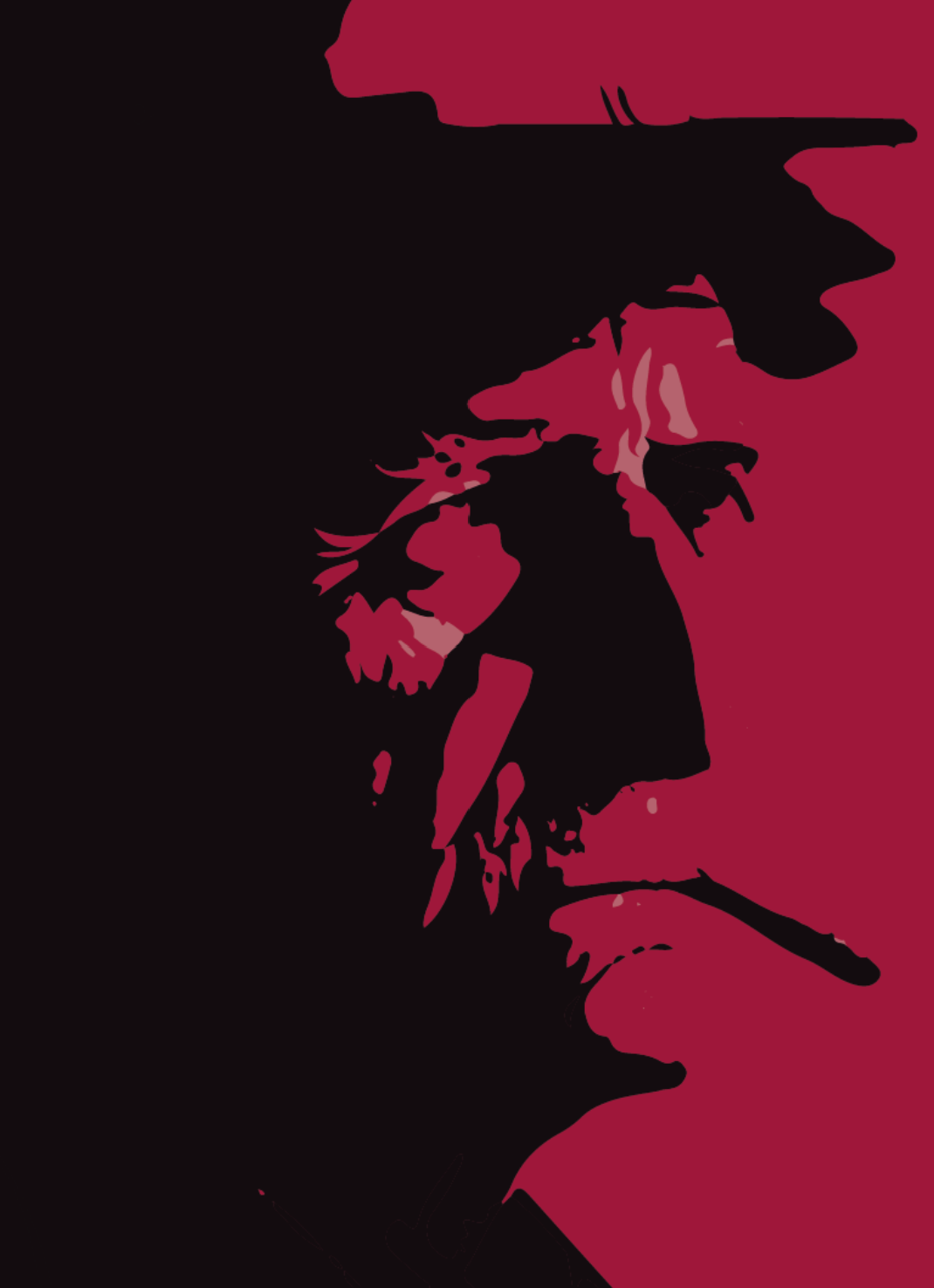 Cover image for Serif