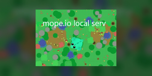 Cover image for mope.io local server