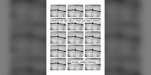 Cover image for PARTS OF MYSELF THAT DO NOT EXIST