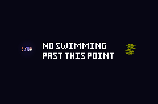 Cover image for No Swimming Past This Point