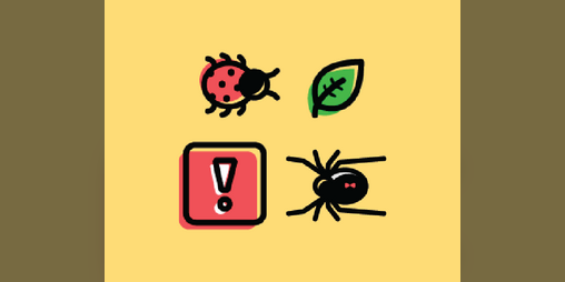 Cover image for Lady DeBug