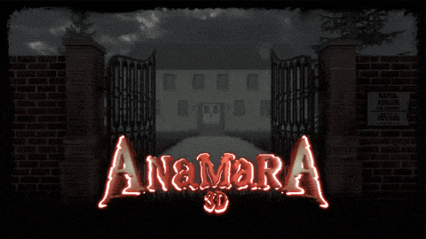 Cover image for Anamara 3D