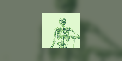 Cover image for SKELETON GOES TO WALMART THE UNPARALLELED CINEMATIC EXPERIENCE