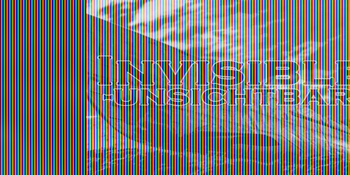 Cover image for Invisible -Unsichtbar-