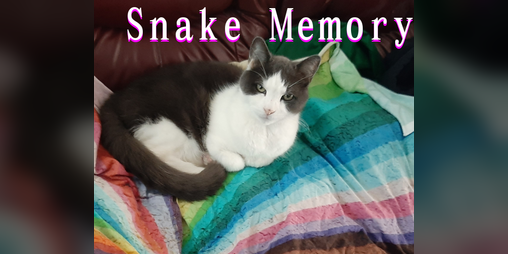 Cover image for Snake Memory