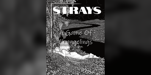 Cover image for Strays