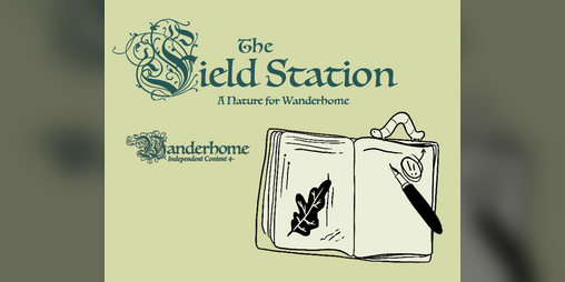 Cover image for Field Station - A Wanderhome Nature