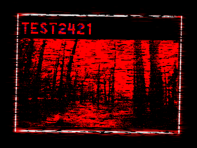 TEST2421