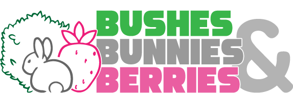 Bushes, Bunnies, & Berries