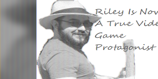 Cover image for Riley: Your Favorite Video Game Protagonist
