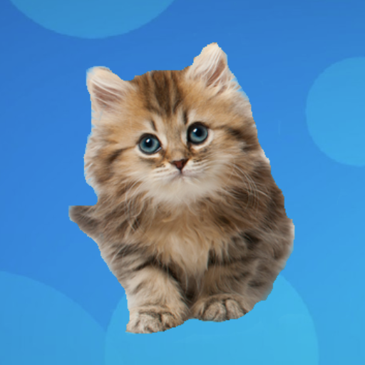 Cover image for Cat simulator!