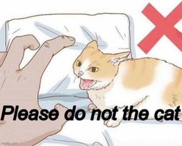 Cover image for please do not the cat the game