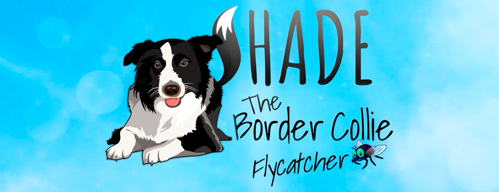 SHADE The Border Collie Flycatcher