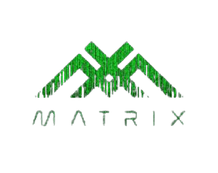 Matrix Racer Web