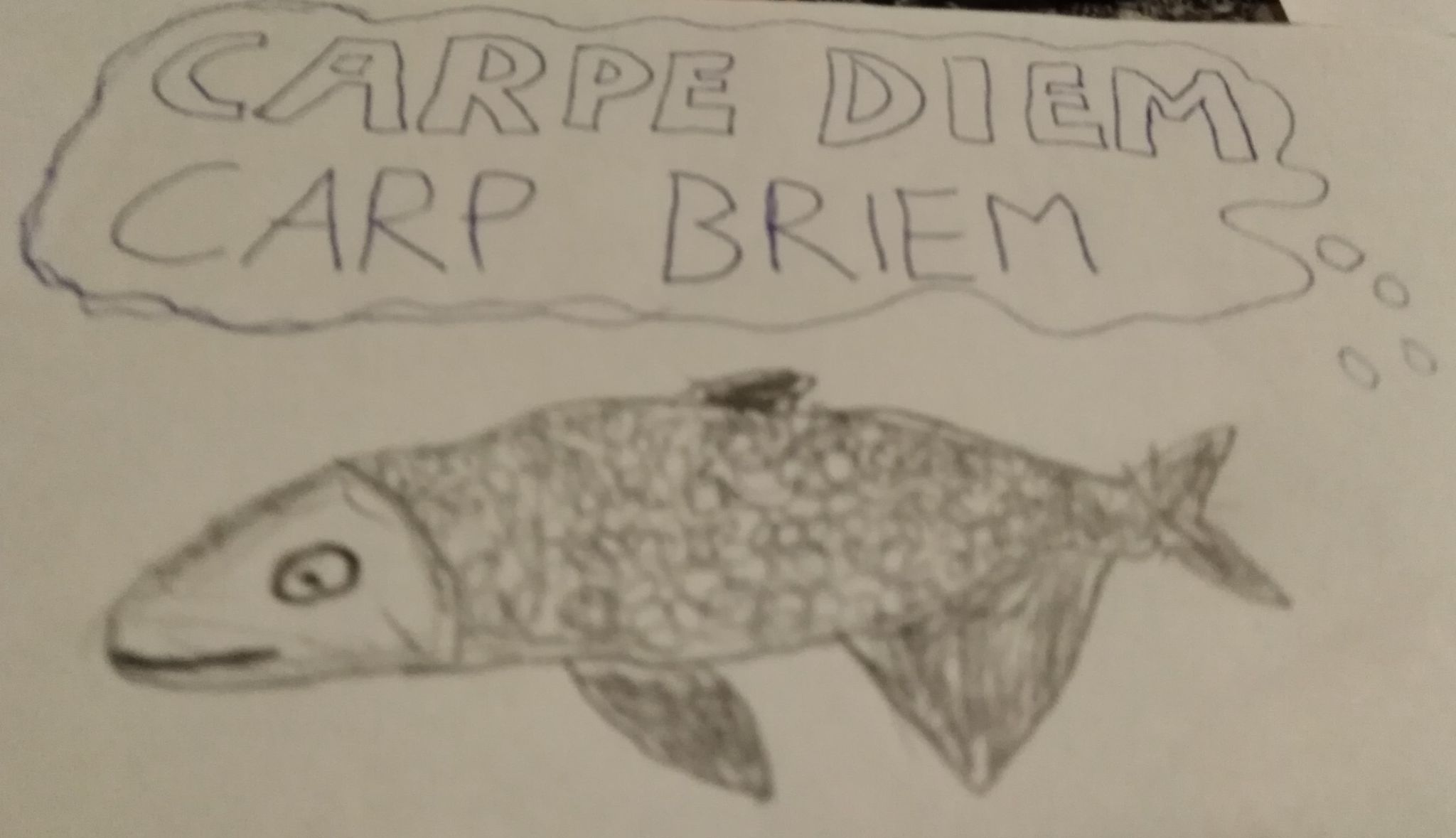 Carpe Diem, Carp Briem -a FishBlade RPG