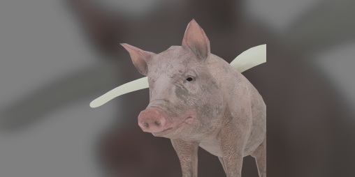 Cover image for Pigs Flight Simulator