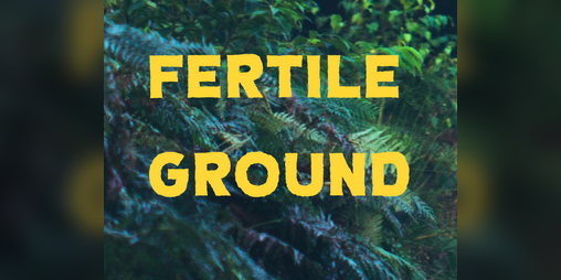 Cover image for FERTILE GROUND: a hunt for Bump in the Dark