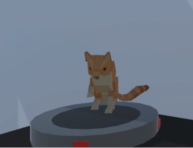 Cats Riding Rümbas