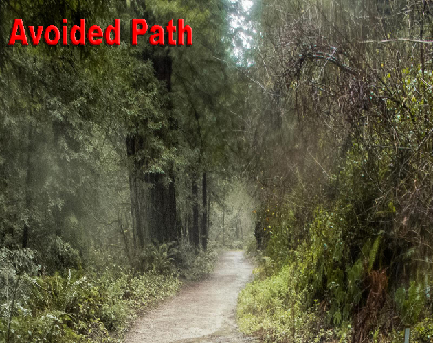 Cover image for Avoided Path