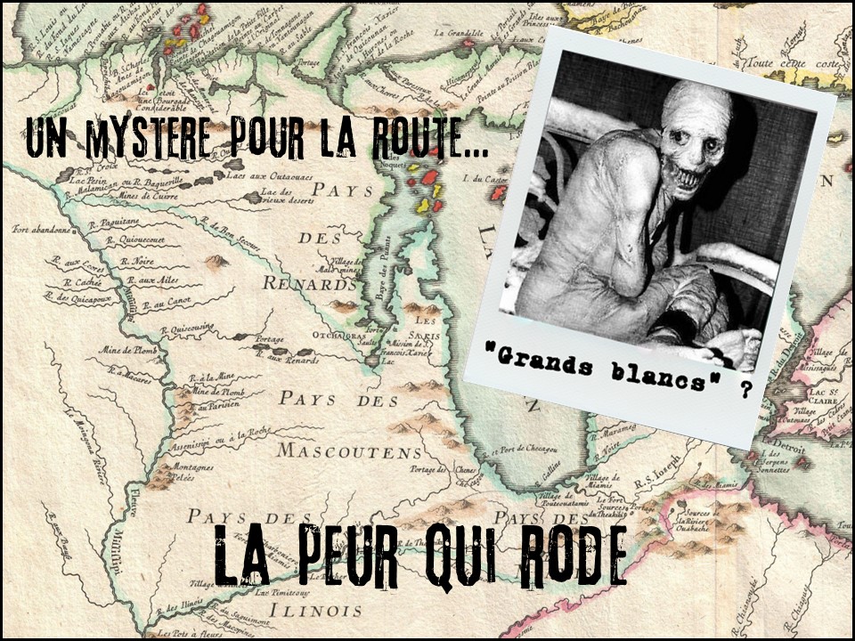 Cover image for La peur qui rode - Un Mystère pour la route