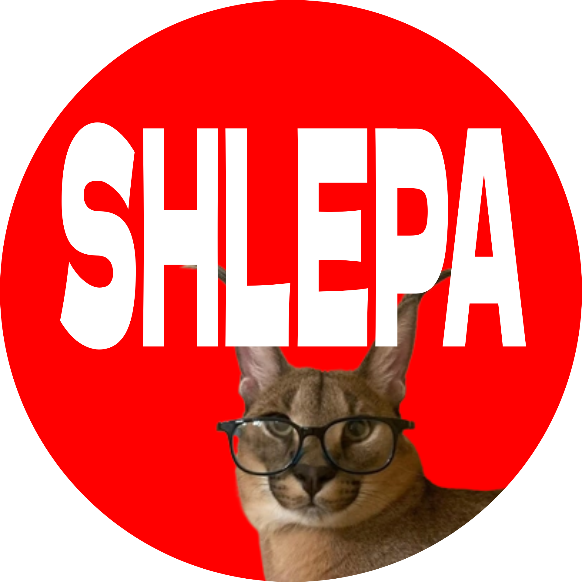 SHLEPA GAME (beta) by hifany