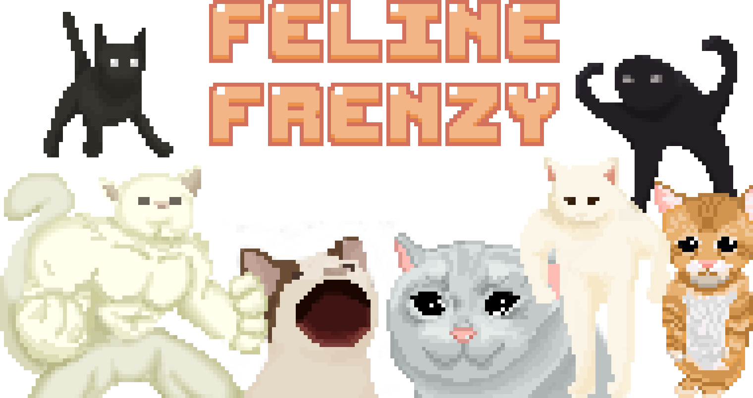 Feline Frenzy