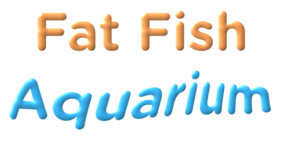 Fat Fish Aquarium