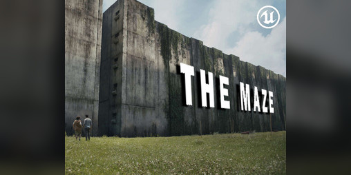 Cover image for THE MAZE