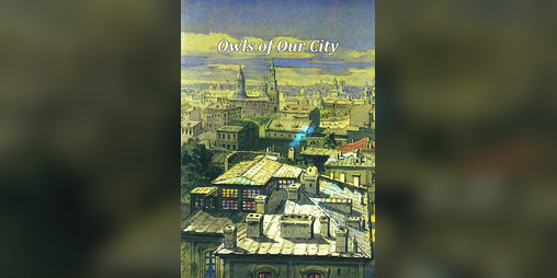 Cover image for Owls of our City
