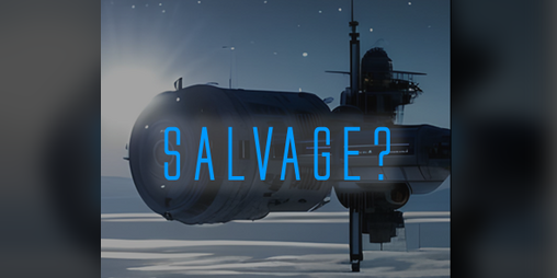 Cover image for Salvage?