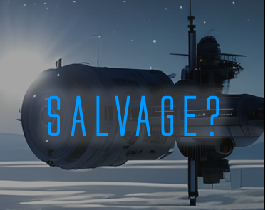 Cover image for Salvage?