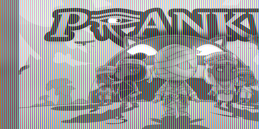 Cover image for Prankh