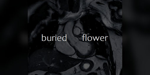 Cover image for Buried Flower