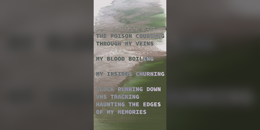 Cover image for Woods