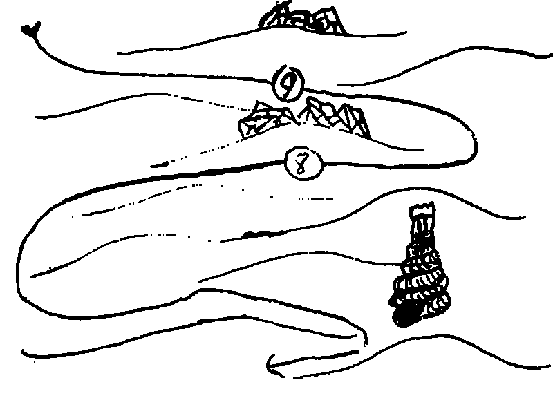 Heavy ink drawing of a map with very broad, languid dunes, two of which are crested by jagged low-lying rock formations; further South, a stone brick tower stands atop an empty spiral shell, with the route winding between the landmarks.