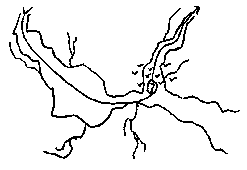 Heavy ink drawing of a bird's-eye view map; a canyon runs from West to East, with a smaller canyon meeting it from the North, and birds flying at the meeting point; the route comes down the canyon and branches off to the North.