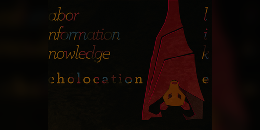 Cover image for LIK:Echolocation