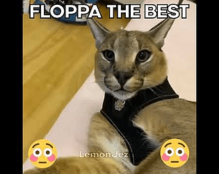 Floppa Attack