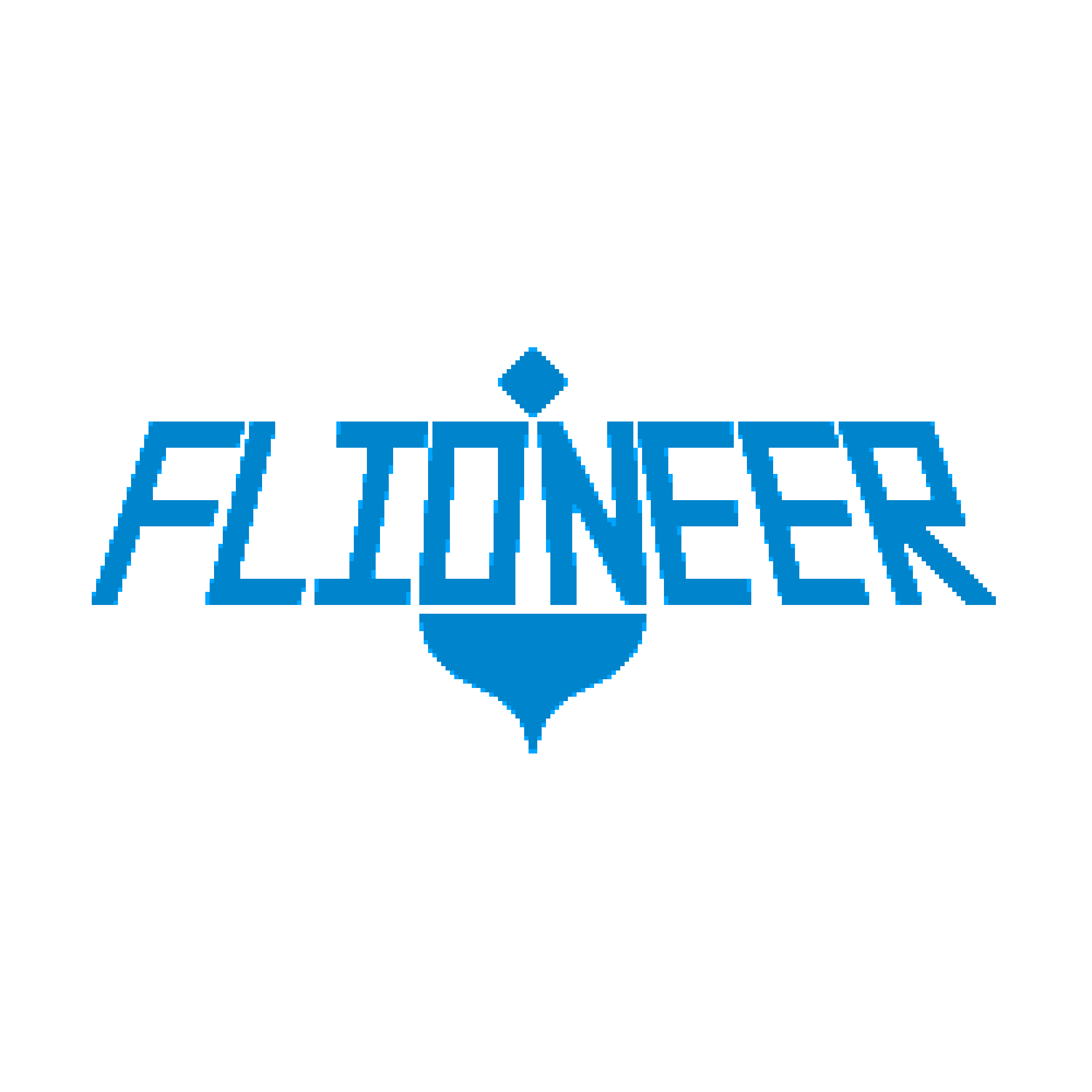 Flioneer