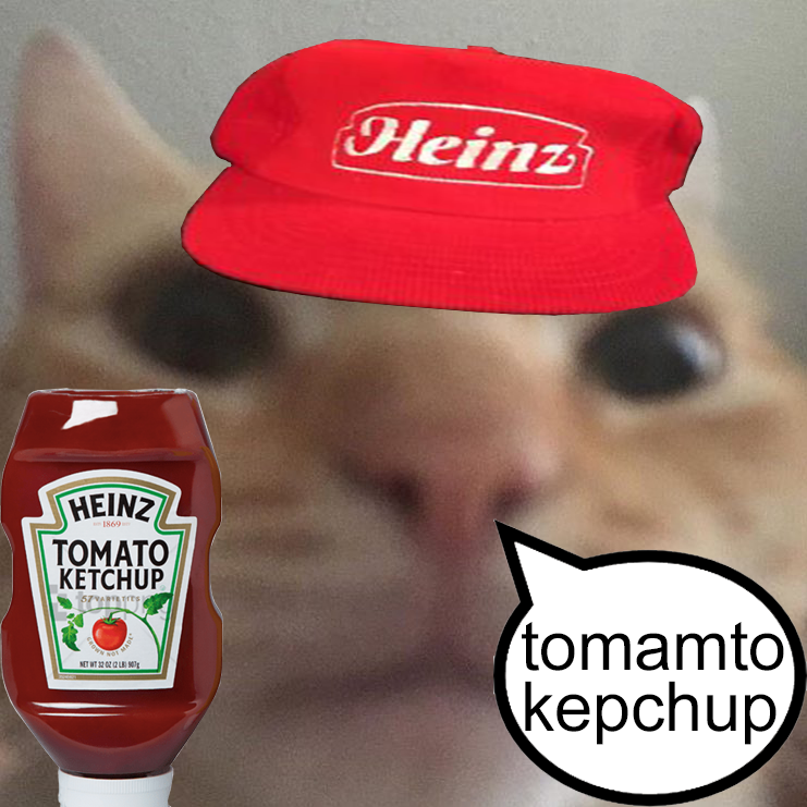 cats with snacks and a car