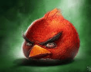 The Biggest Bird