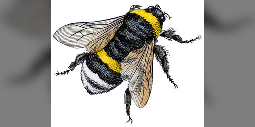 Cover image for Apocalypse Keys: The World Hive