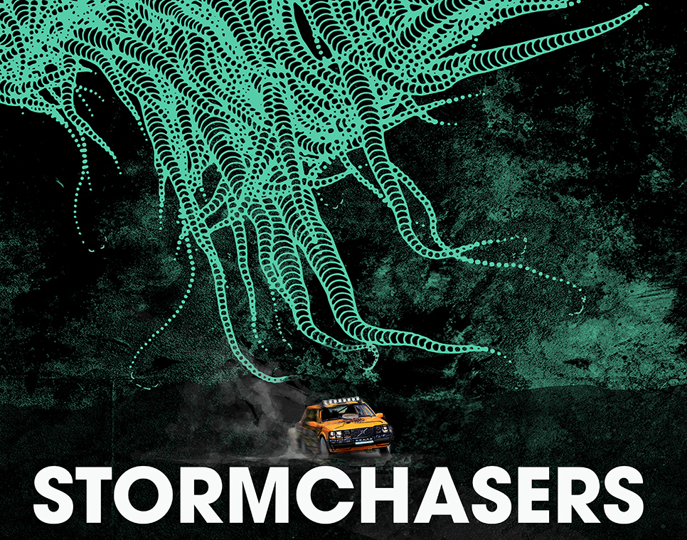 Cover image for STORMCHASERS