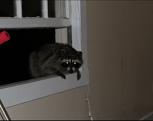Animal heist
