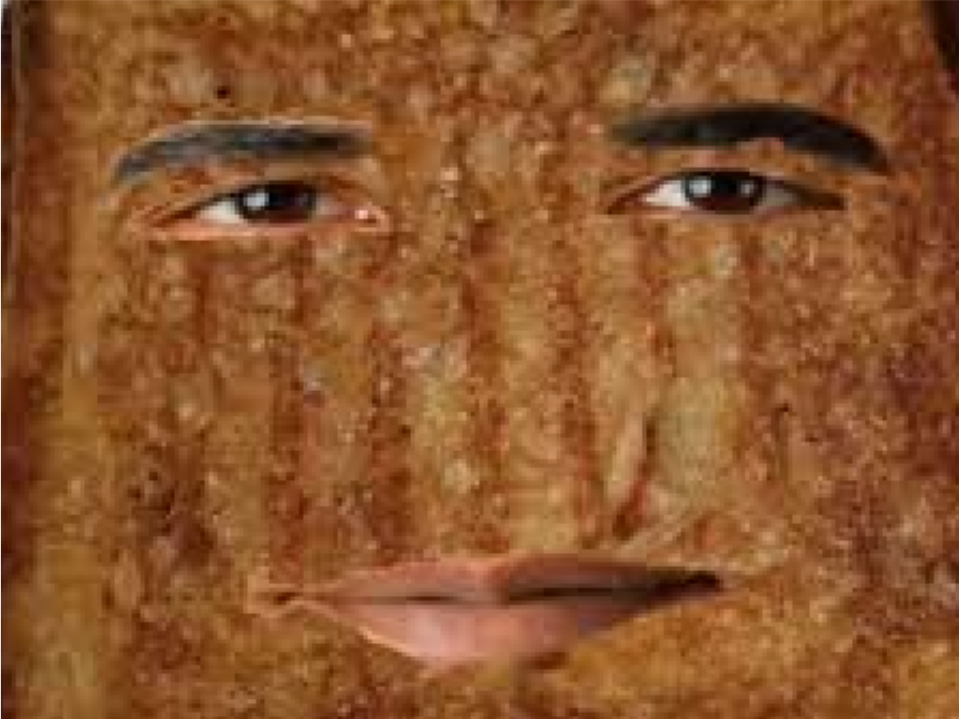 Obama Cheese Sandwich: The Game