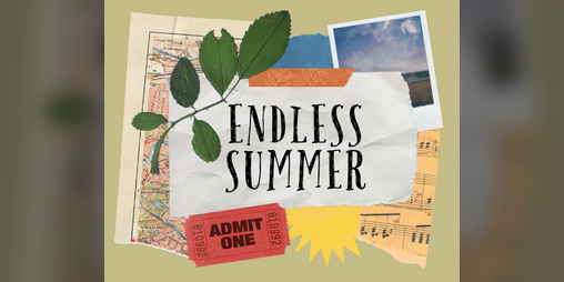 Cover image for Endless Summer: Playbooks & Attractions for Here We Used To Fly